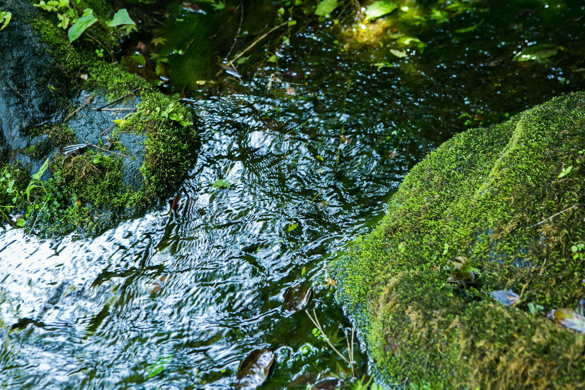 Отель Yugawara-Onsen Manyoso Экстерьер фото